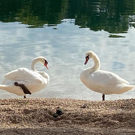 Apartman Put Svete Kate Raslina Exteriér fotografie